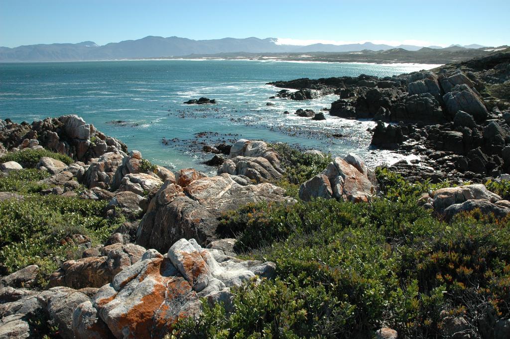 Cliff Lodge Gansbaai Luaran gambar