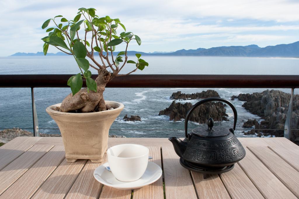 Cliff Lodge Gansbaai Luaran gambar